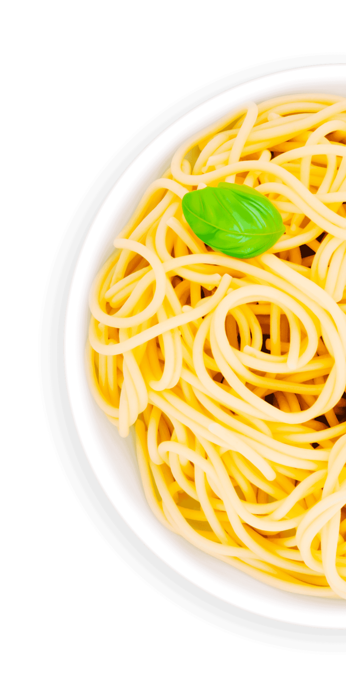 Plate with Spaghetti